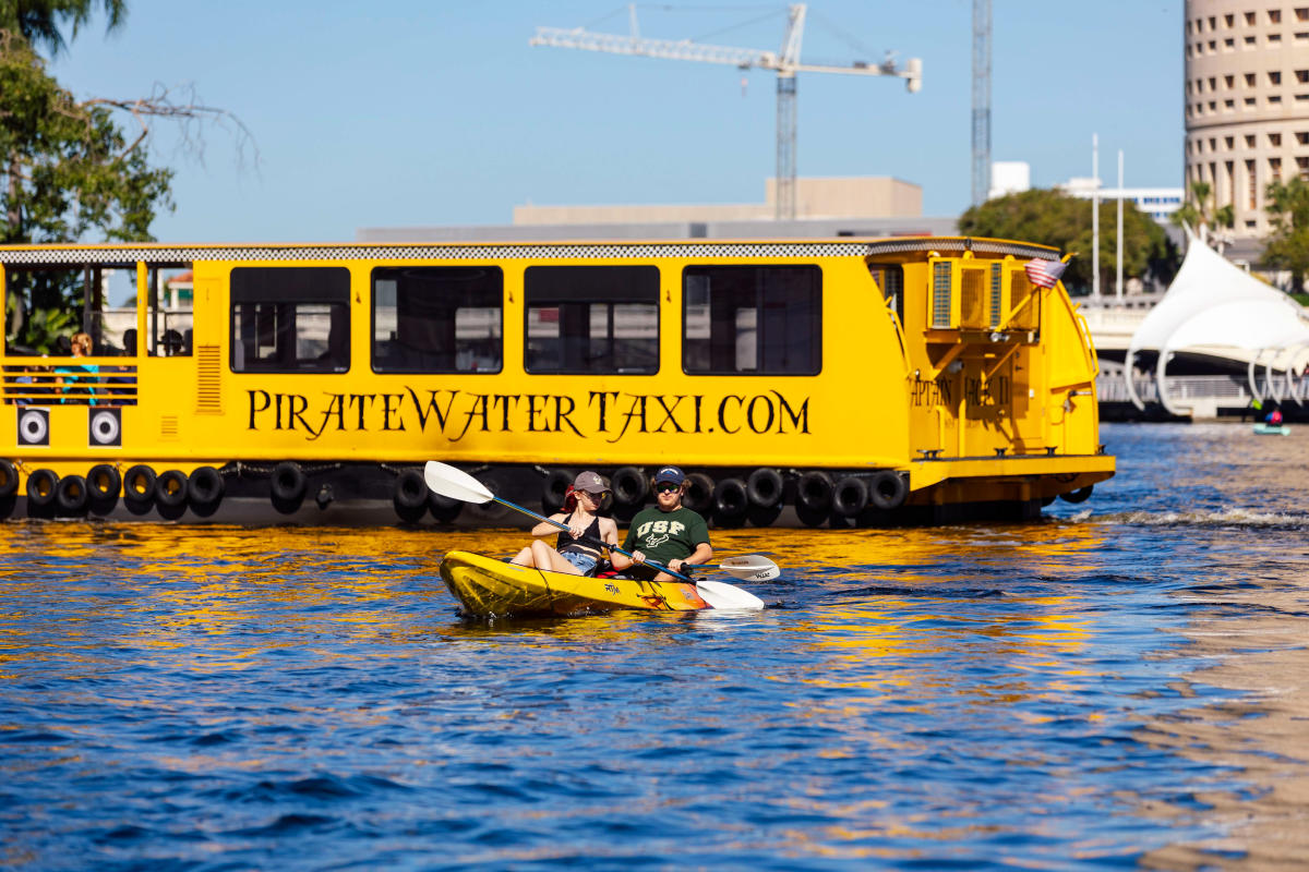 Water Activities in Tampa Bay