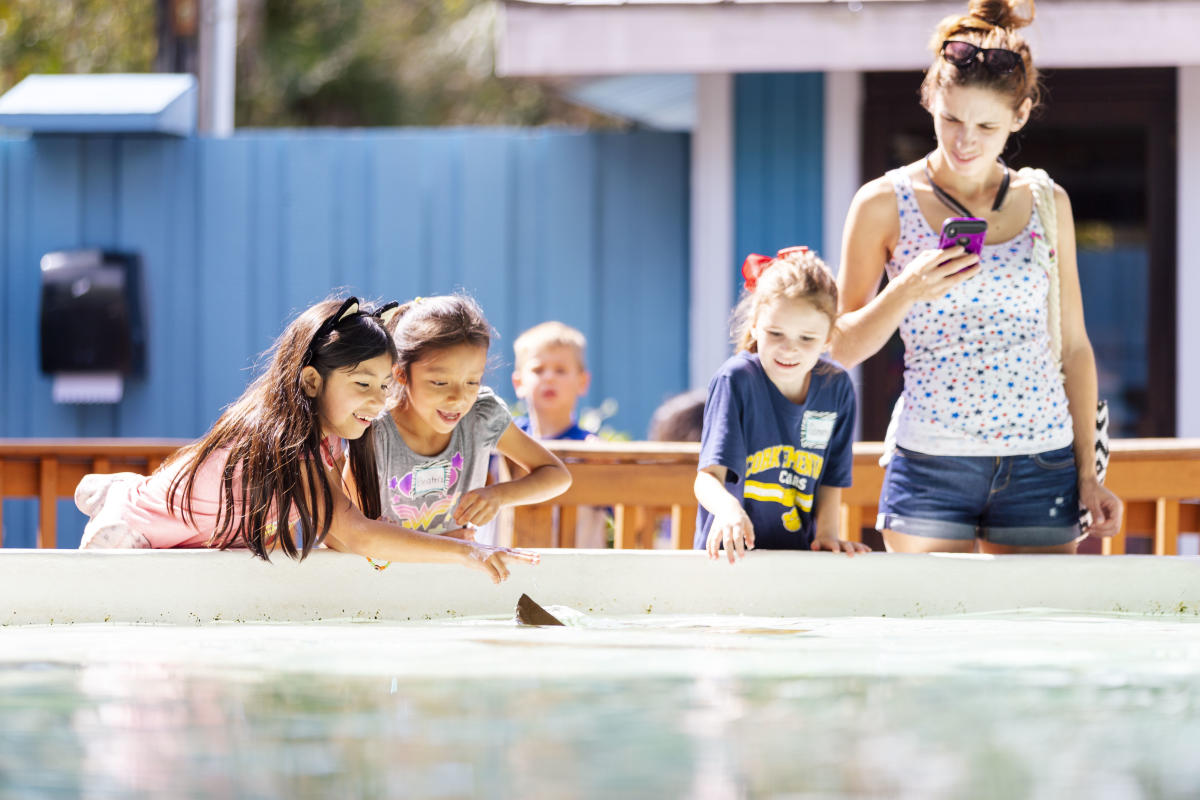 Things to Do in Tampa with Kids