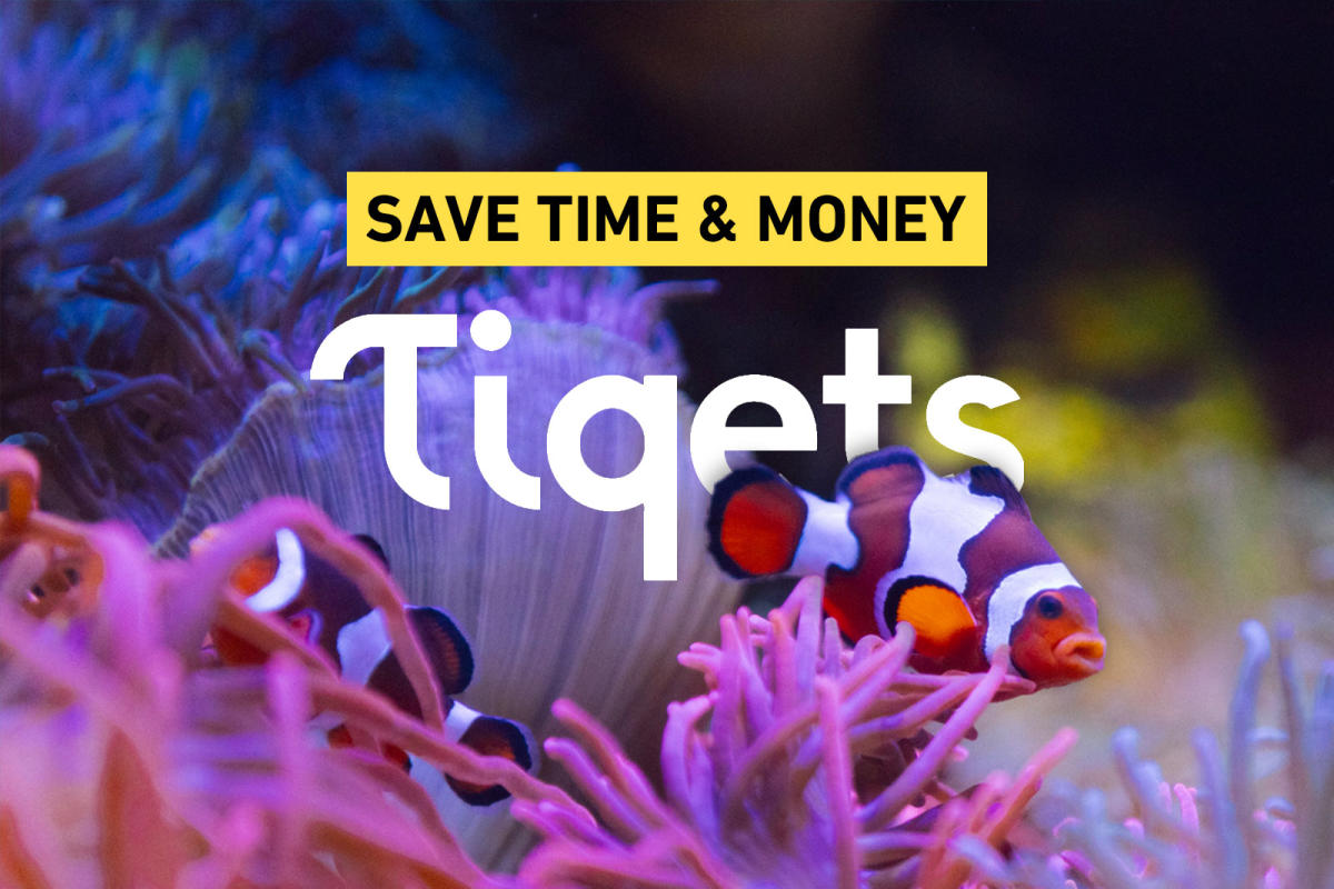 Tampa Bay Attractions Tickets