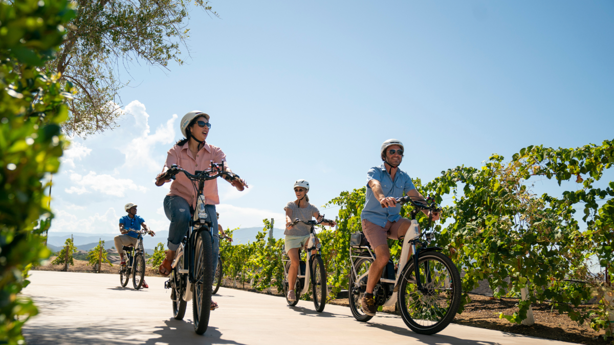 Temecula, CA Bike Trails Wine Country Tours and Group Rides