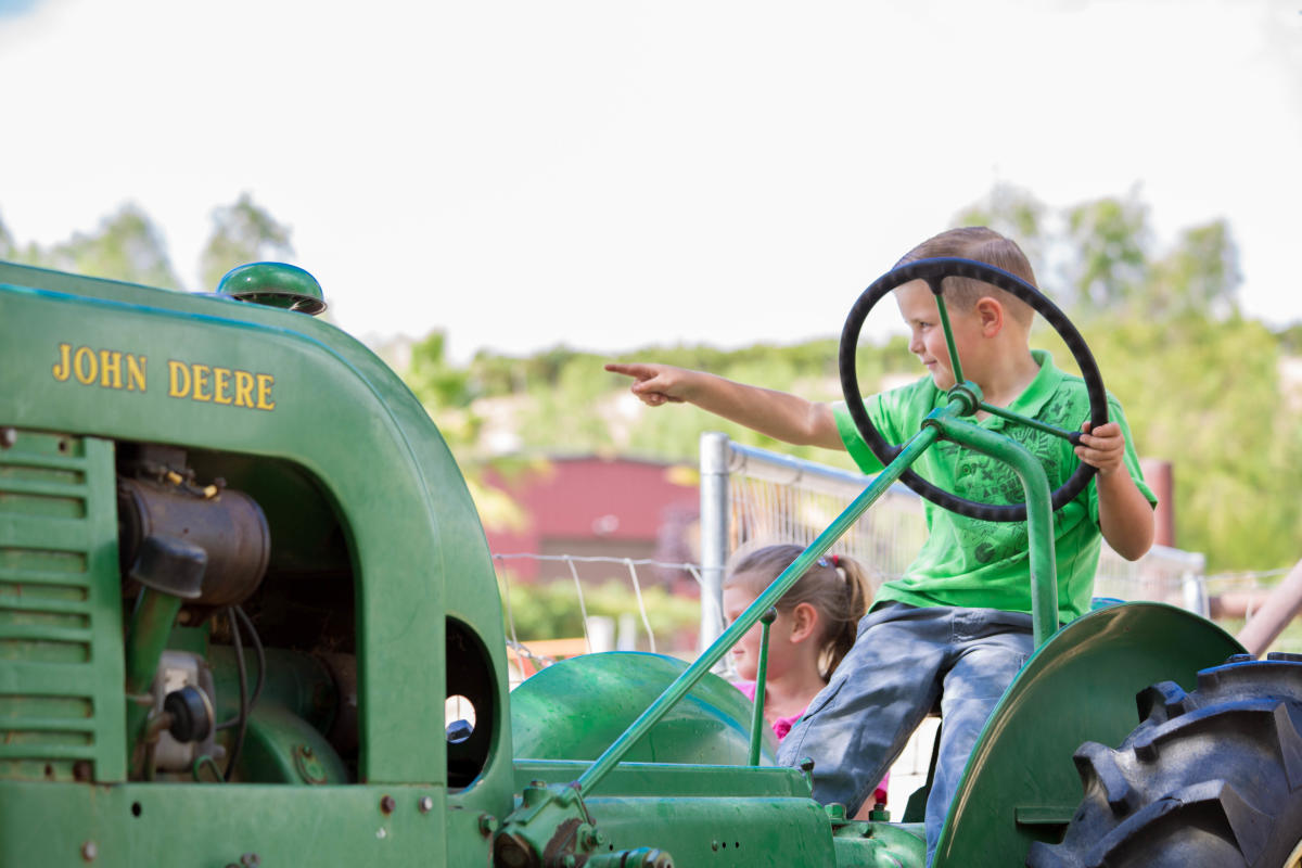 Family Events in Temecula | Festivals, Concerts & Holiday Fun