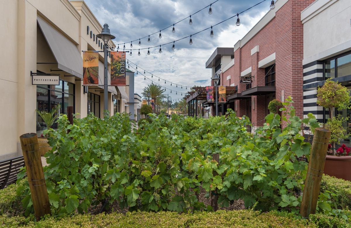 Rainy Day Activities Guide - Visit Temecula Valley