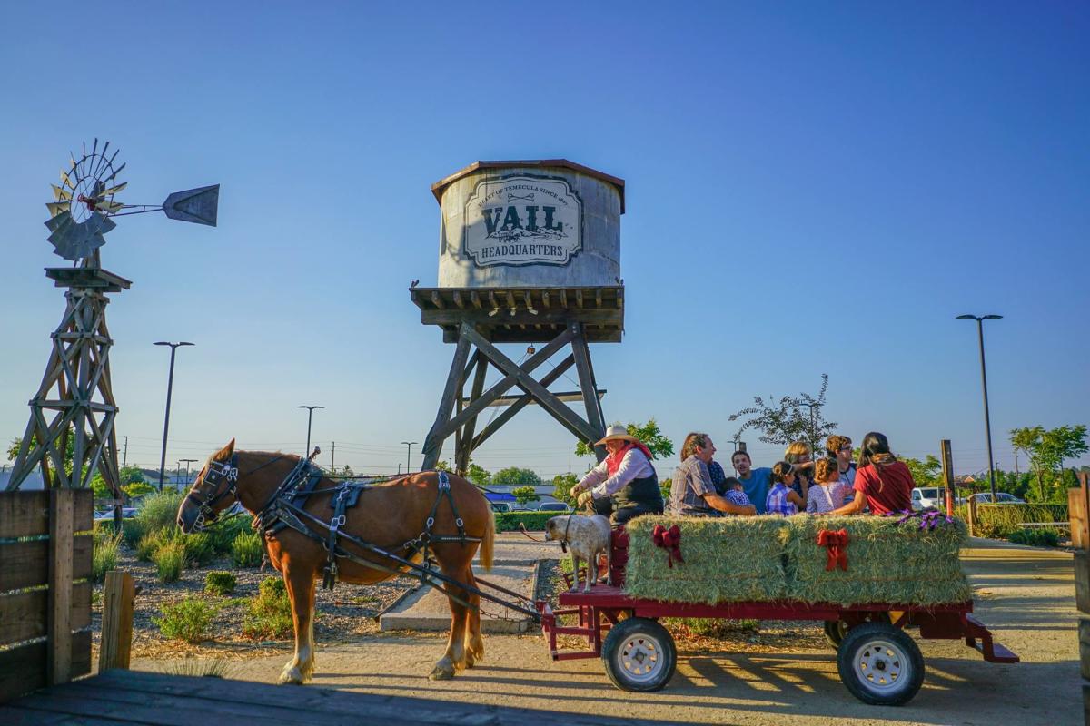 Temecula Christmas Parade 2019 Visit Temecula Valley Announces 2019 Festivals & Events in Temecula Christmas Parade 2019 Visit Temecula Valley Announces 2019 Festivals & Events in