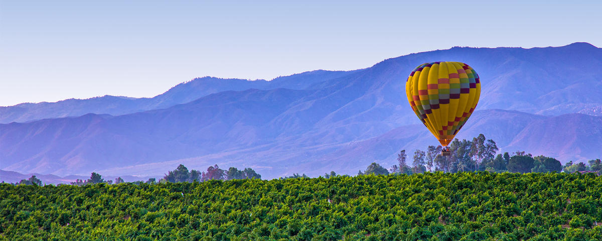 Temecula Valley, CA Visitors Guide To Hotels, Wineries, & Things To Do