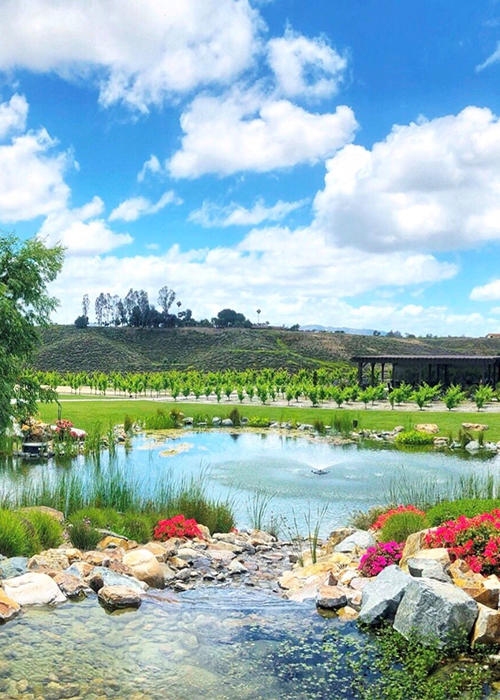 Wineries for Temecula Weddings