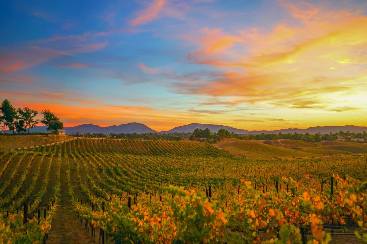 12 Most Instagrammable Spots in Temecula Valley.