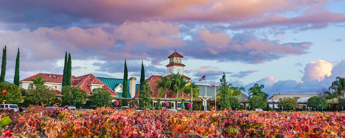 Why Temecula Valley Meetings Groups Visit Temecula Valley