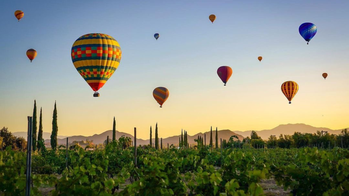 Balloon and Wine Festival in Temecula Live Music & Markets
