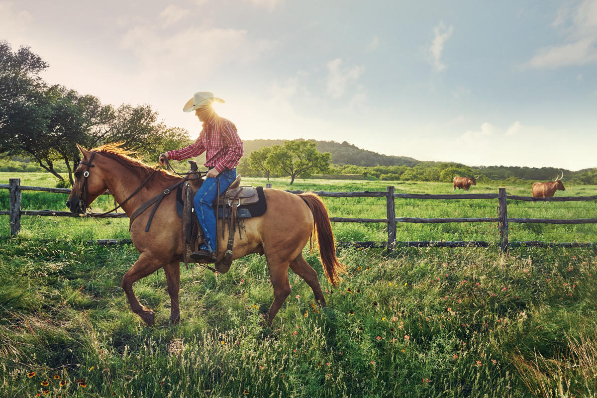 Texas Guest Ranches Cabins, Lodging & Trail rides