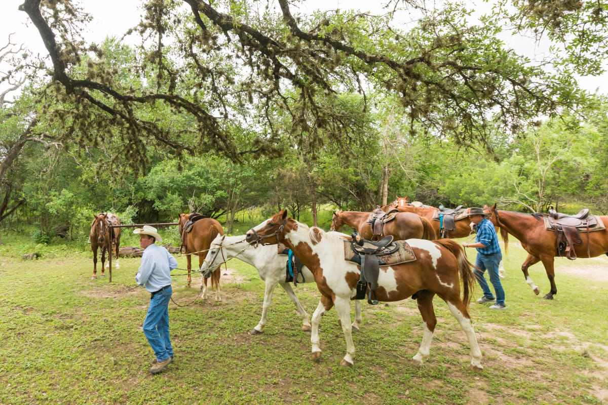 Western Experiences In Texas | Ranches, Stockyards & Rodeos