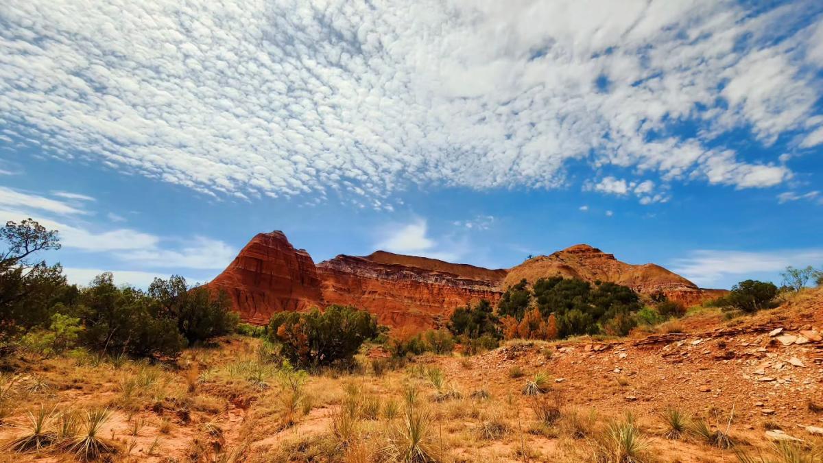 Things to See in Amarillo, TX | Museums, Dining & Attractions
