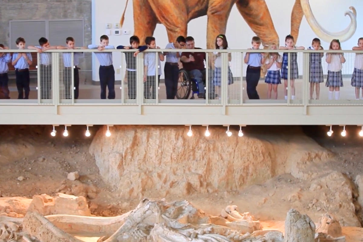 Dinosaurs In Texas Preserved Tracks & Fossils