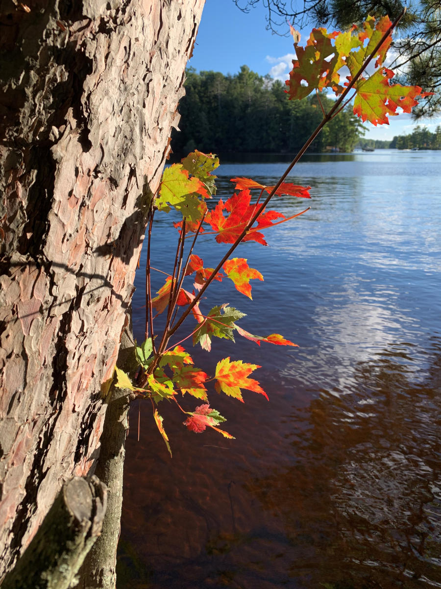 Chain Map Three Lakes Area Chamber of Commerce