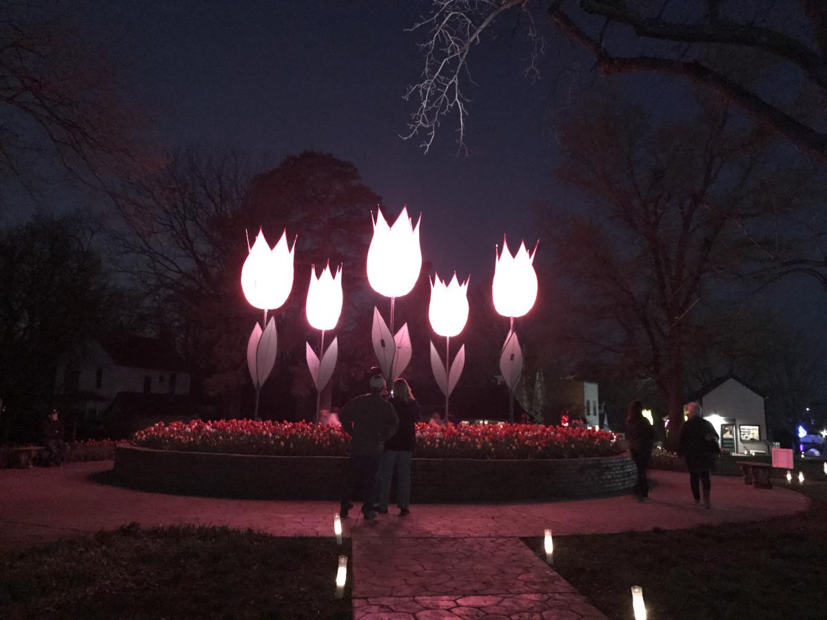 Tulips At Twilight Spring in Topeka, KS, Things to Do