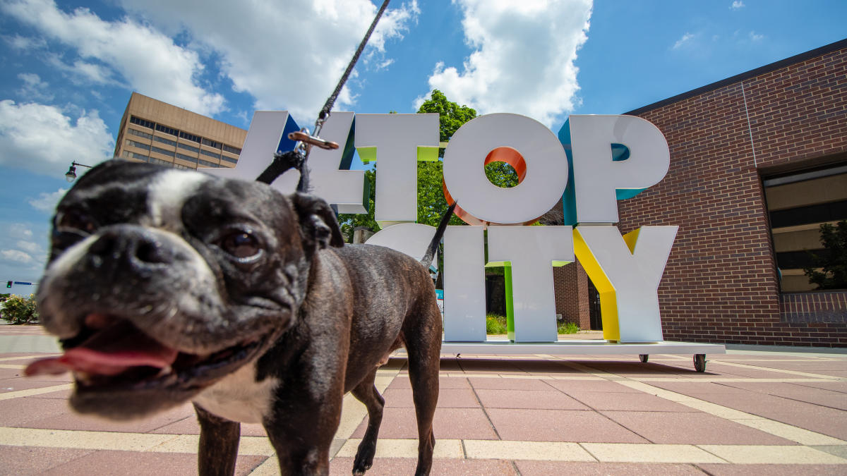 topeka kansas receives better city for pets certification from mars