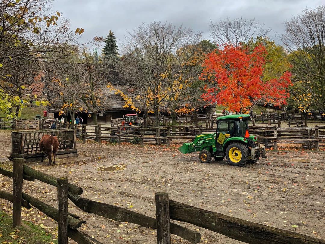 Riverdale Farm Destination Toronto