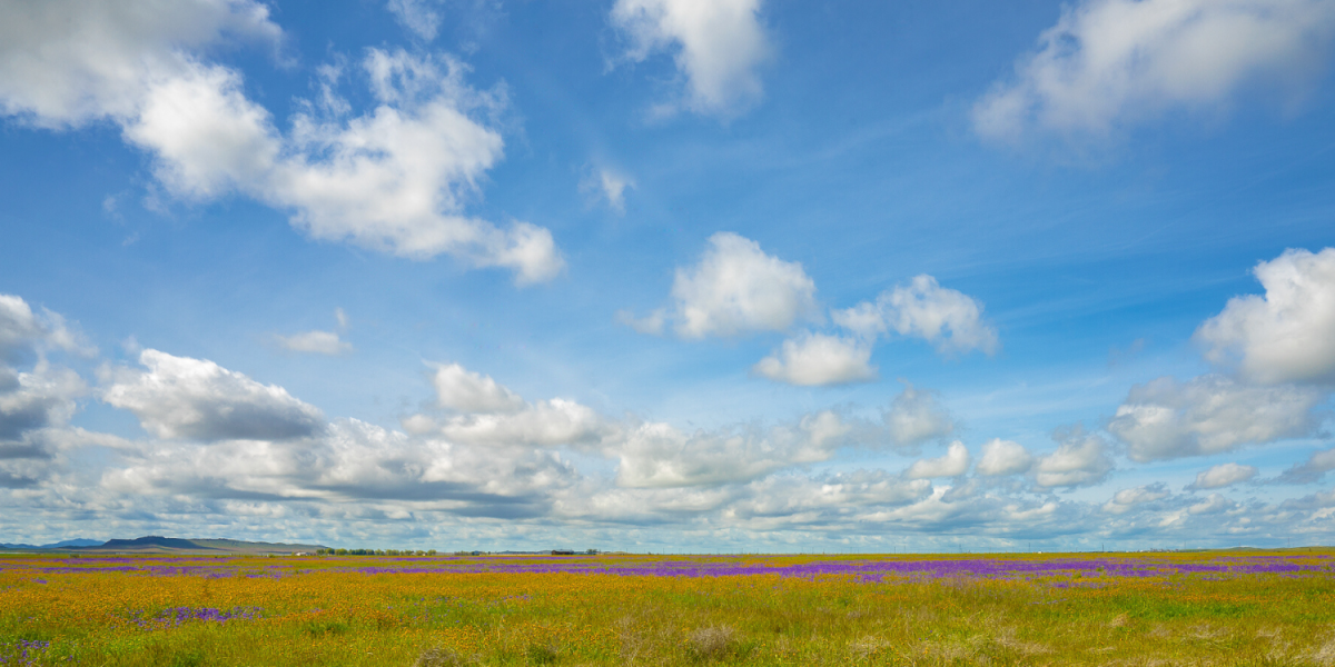 Weather in paso robles 10 days