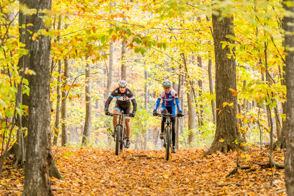 Traverse City Events Calendar Festivals Live Music
