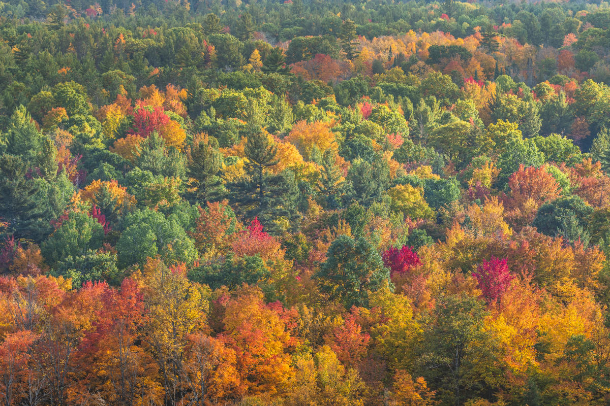 Traverse City Fall Colors 2022