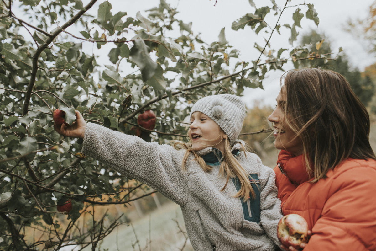 Fall Events in Traverse City MI Festivals Fall Colors