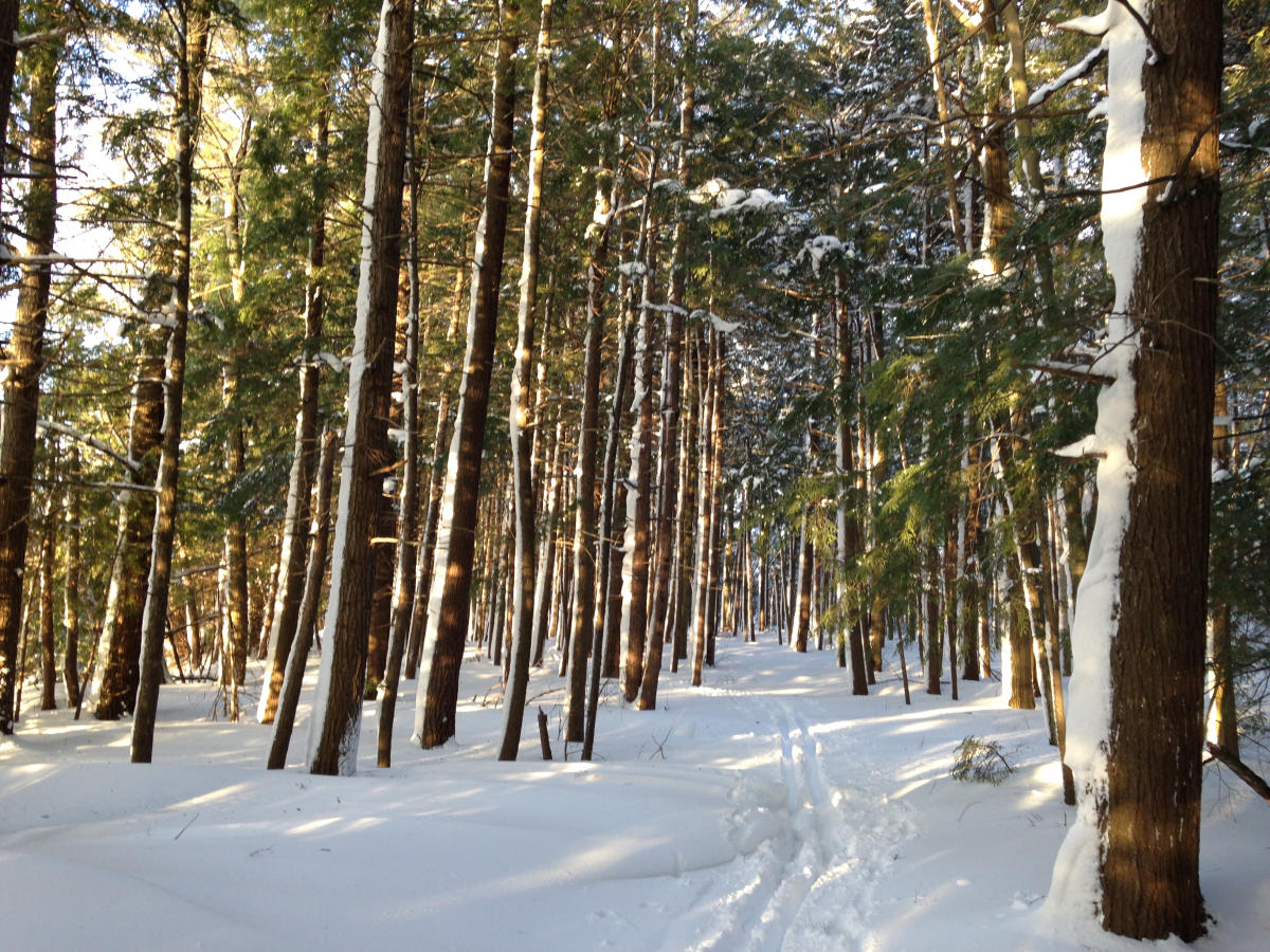 Winter Hiking Locations Traverse City Mi