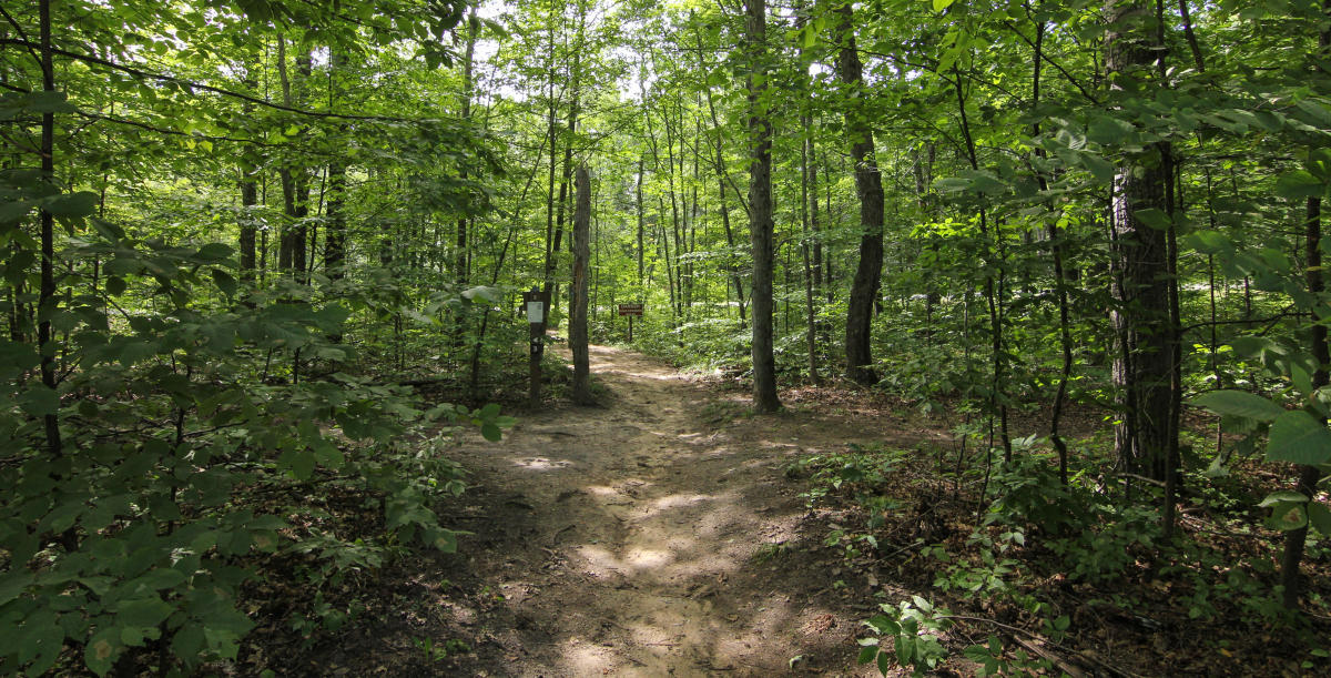 Hiking And Biking Trails Benzie County Michigan