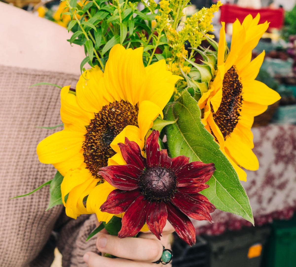 Where To Shop For A Picnic Traverse City