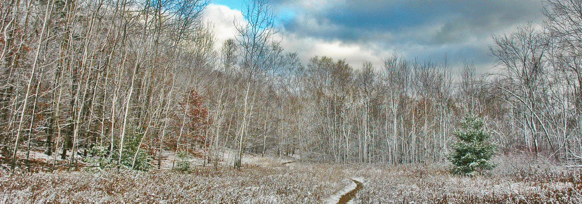 Winter Walks In Traverse City Mi Five Areas To Explore