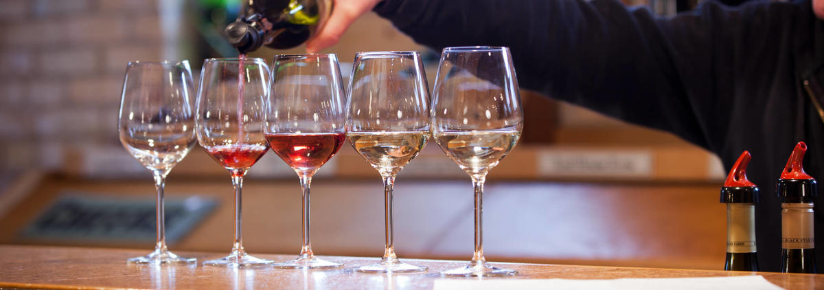 Wine Tours in Traverse City, MI | Wine Tastings