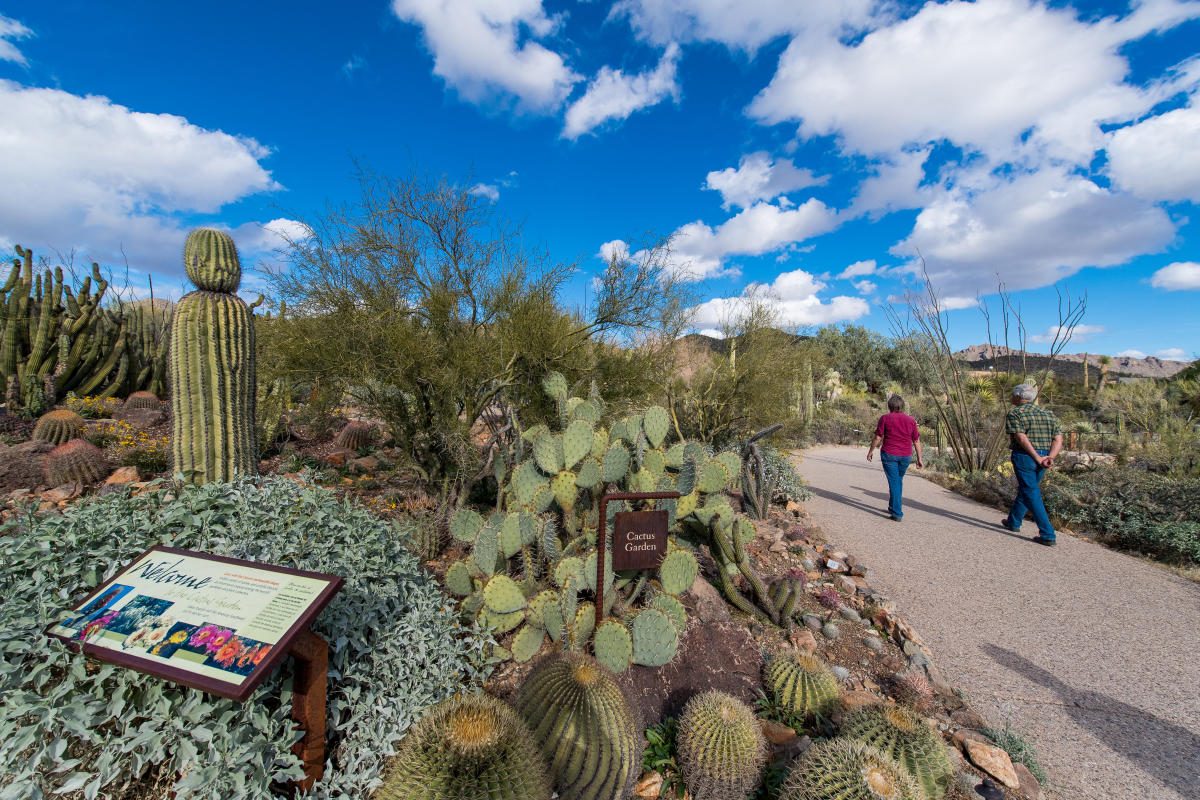 Get Free Tickets to a Tucson Padres Game - TucsonTopia