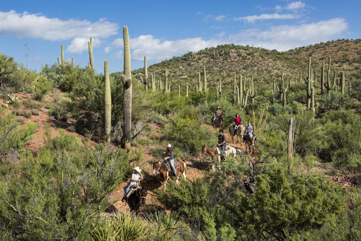 Tucson Attractions Passport | Save on 100+ Local Adventures