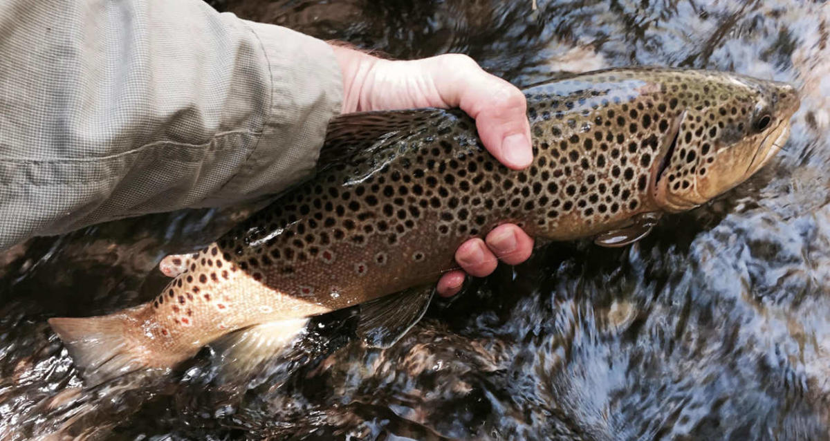 Capitol Reef Fishing
