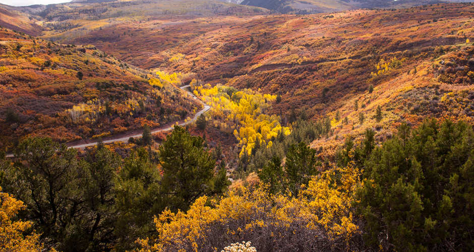 Huntington Canyon Scenic Drive