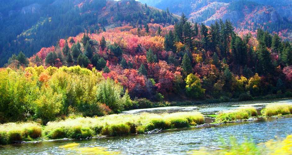 Things To Do In Logan Utah In The Fall Moved History Image Bank Things To Do In Logan Utah In The Fall Moved History Image Bank