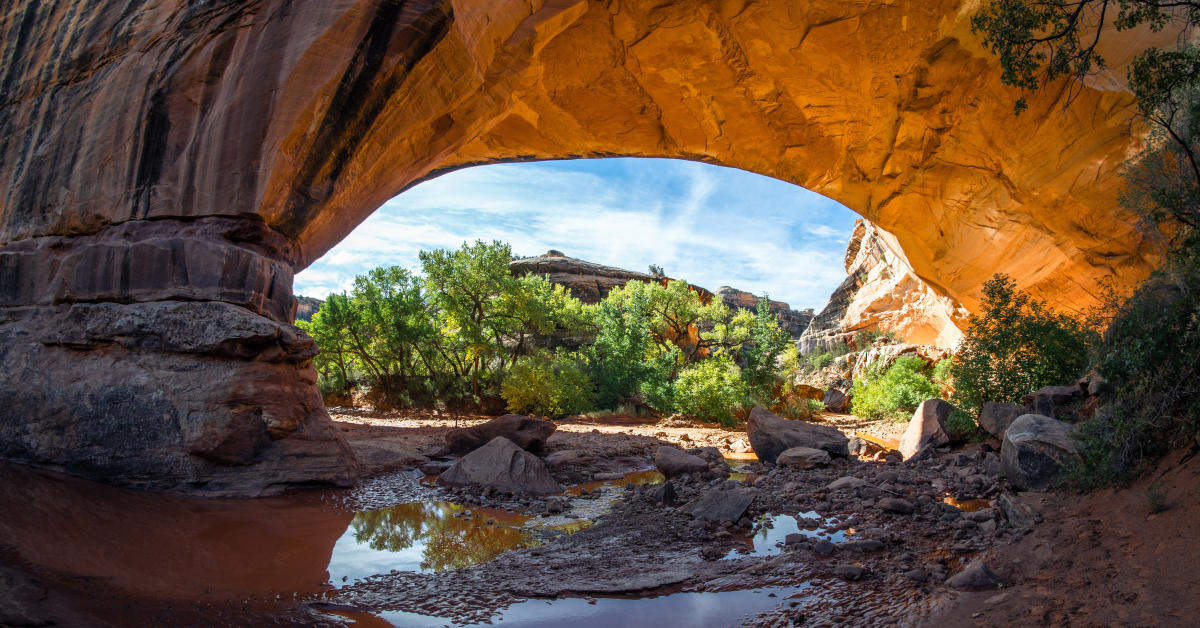 Natural Bridges National Monument A Hidden Gem, Not a Second Fiddle