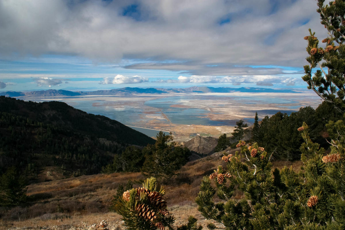 Willard Bay State Park