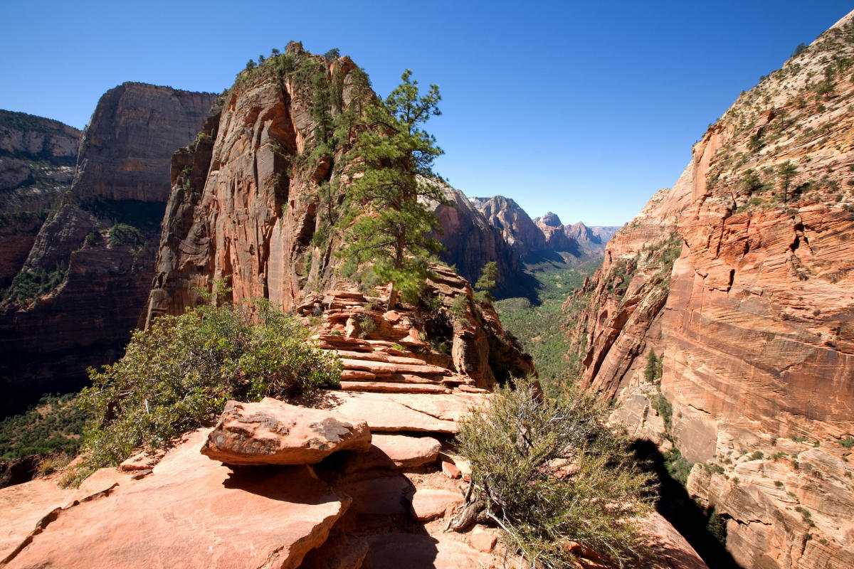 Mt Zion Hiking Trails Hiking Trails In Zion National Park | Utah.com