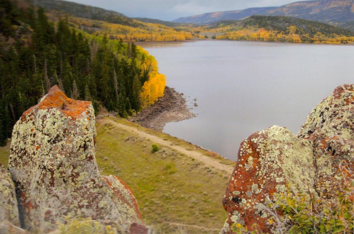 Fish Lake National Forest