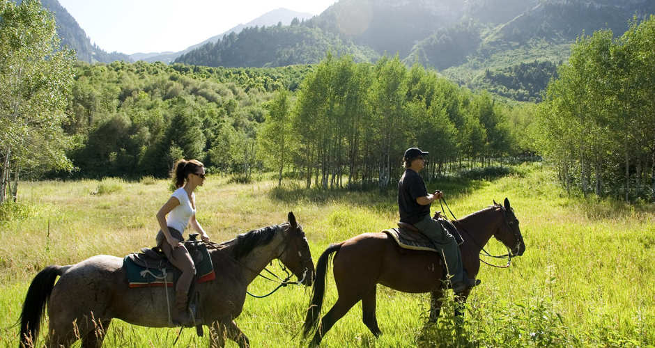 Provo Horseback Riding