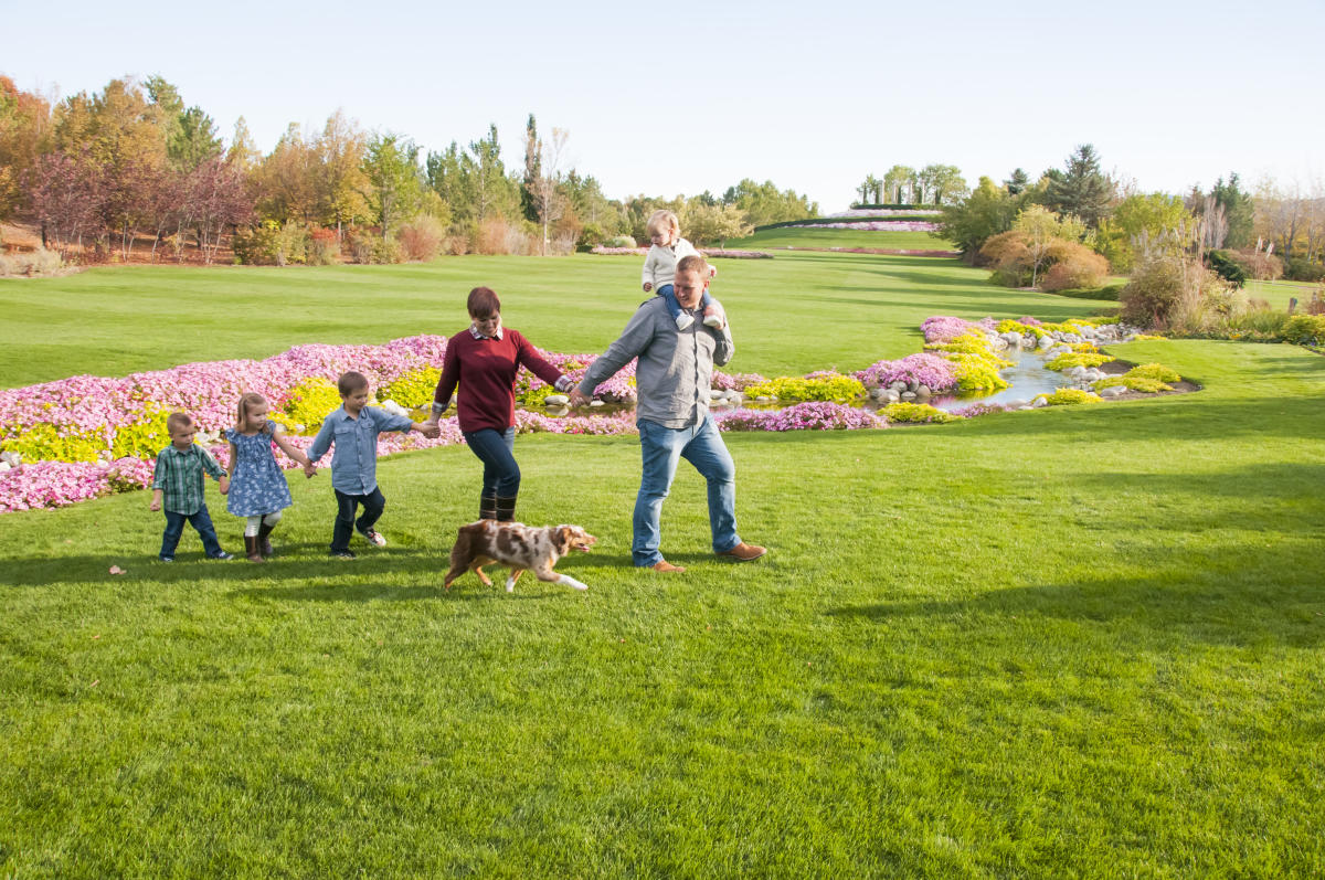 Thanksgiving Point's Ashton Gardens Introduces Dog Walk ...
