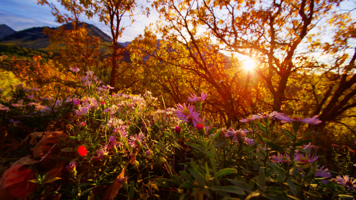 Alpine Loop | Hiking | Explore Utah Valley