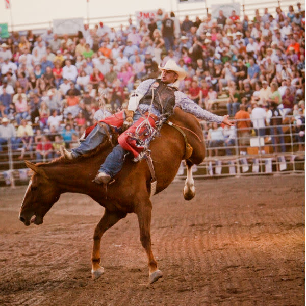 Must See Rodeos this Spring & Summer Explore Utah Valley