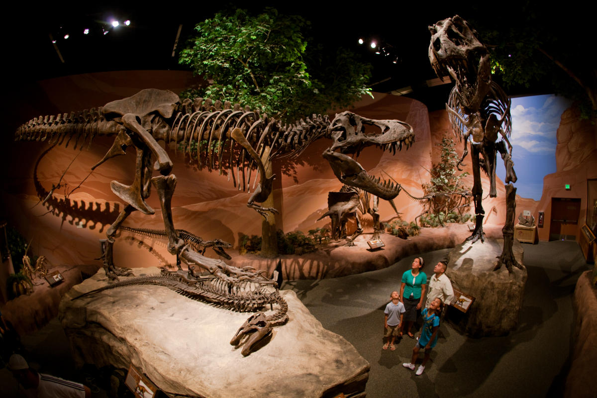 Thanksgiving Point’s Museum of Ancient Life Reopening May 8 Explore