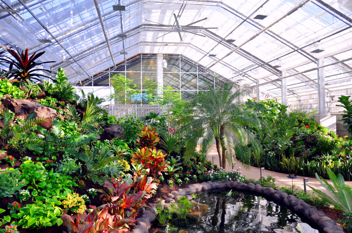 Thanksgiving Point’s Butterfly Biosphere and Harvest Restaurant Reopens