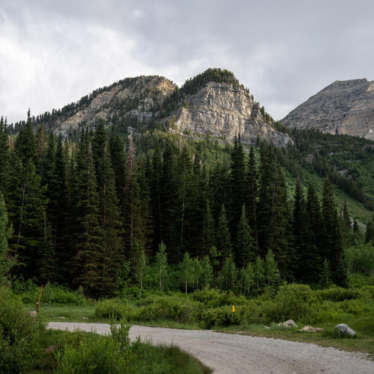 Guide to Parking at Timpooneke Trailhead