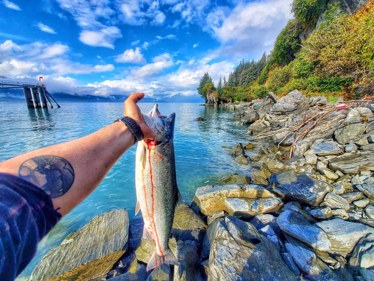 Best Time To Fish In Alaska, Chart Showing Summer Runs