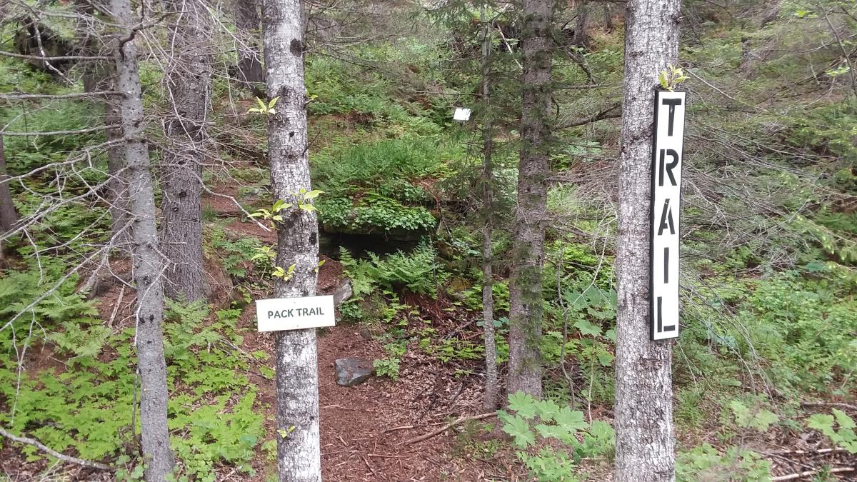 Keystone Canyon Pack Trail Discover Valdez