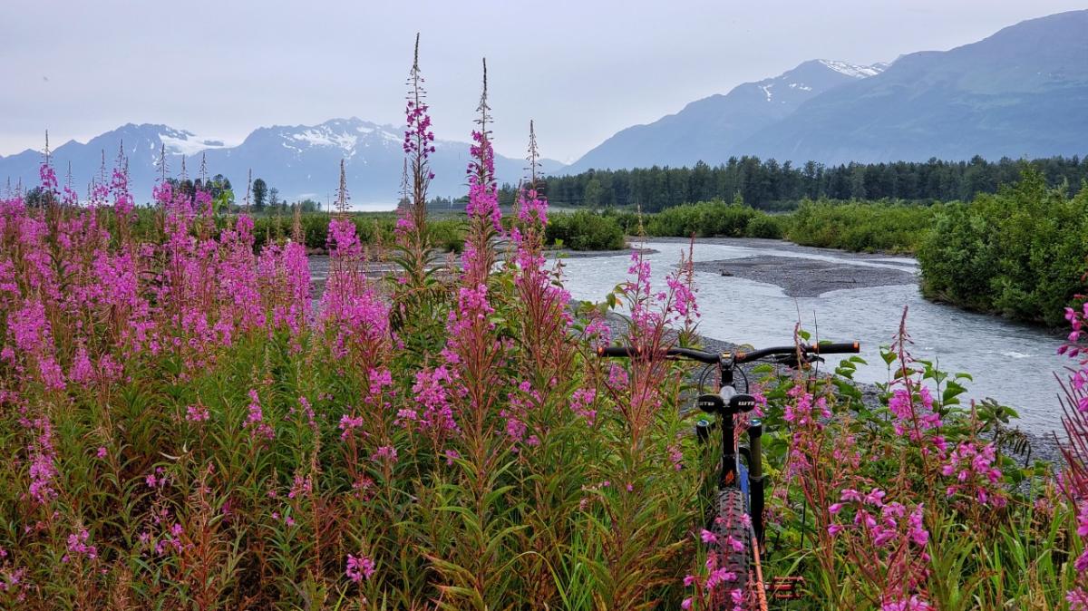 Discovering Valdez without a Car