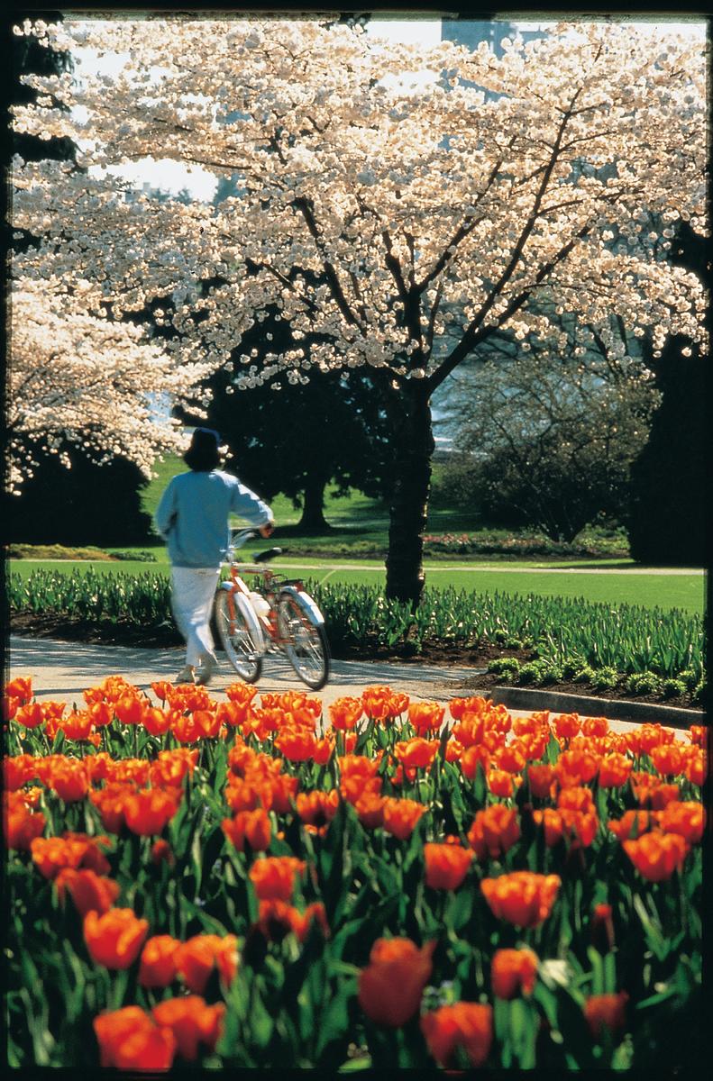 Vancouver Calendar of Events Event listings in April