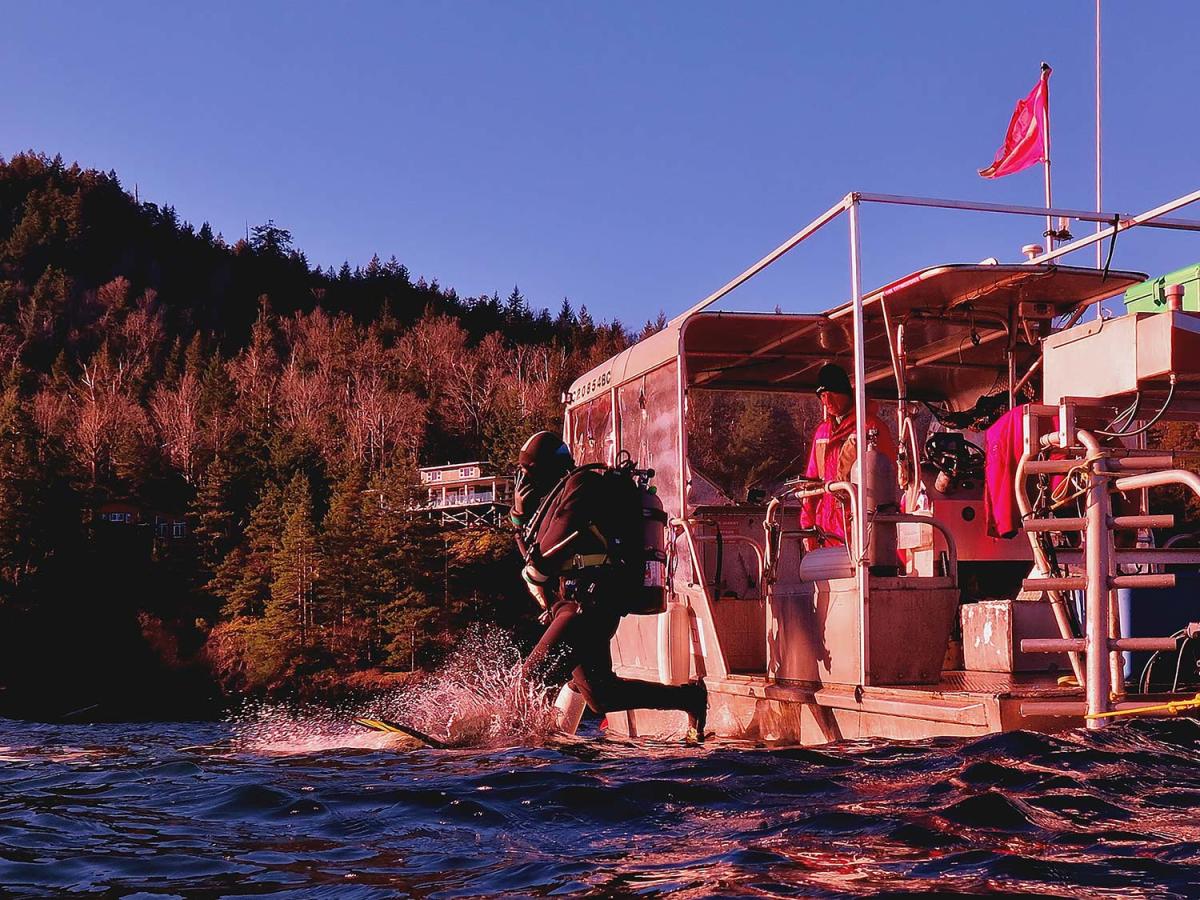 Snorkeling and Scuba Diving in Vancouver, BC Vancouver Water Sports